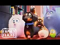 The Funniest Pet Antics The Secret Life of Pets Movies Family Flicks