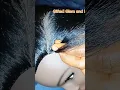 Cornrow Tutorial For Visual Learners Step By Step