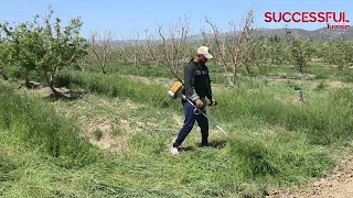 شاب تونسي انطلق من قطعة أرض صغيرة ليحو لها  إلى مشروع عصري نموذجي في مجال الأشجار المثمرة دندنها