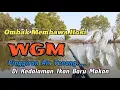 Download Lagu DISINI AKU TAK MAMPU⁉️GESER DISANA AKU NYAPU\\\\SPOT FAVORIT.!!Wgm Terbaru #fishing #fish #mancing