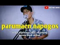 Download Lagu PARUMAEN NAPOGOS || BATAK ASIA