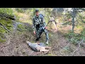 Download Lagu WOLVES OR COYOTES?! Idaho Wolf Hunt - Stuck N The Rut 208