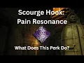 Scourge Hook Pain Resonance What Does This Perk Do