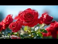 Download Lagu Music for the soul and the beauty of nature🌺just turn it on and relax🌿Music by Sergey Grischuk