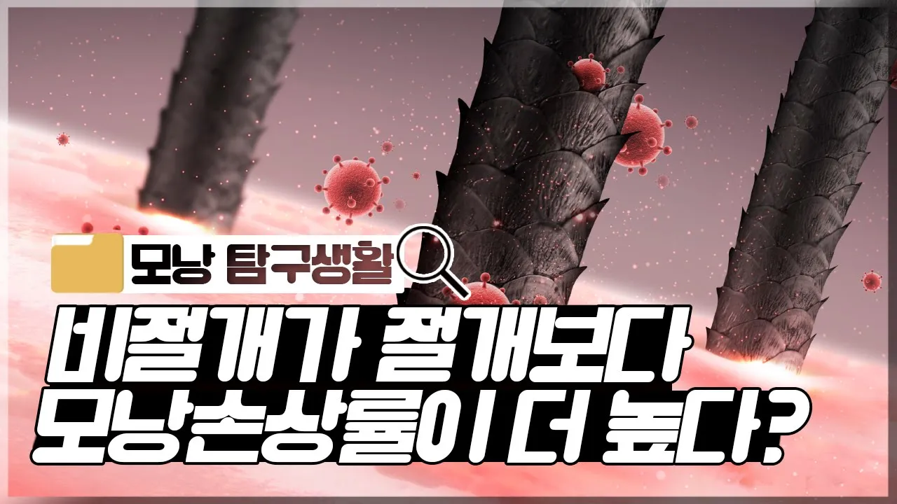 의느님답변📂ㅣ비절개가 절개보다 모낭손상률이 더 높다는말 사실인가요?ㅣ모발이식ㅣ모낭손상ㅣ다나성형외과(DANA)