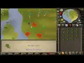 Collecting snake weed 500 h - OSRS
