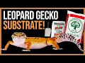 Leopard Gecko Substrate Guide