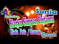 Download Lagu SONIA - BIARKU SIMPAN CINTAMU KARAOKE || NADA COWOK