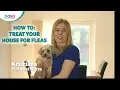 Download Lagu How To Treat Your House For Fleas: PDSA Petwise Pet Health Hub