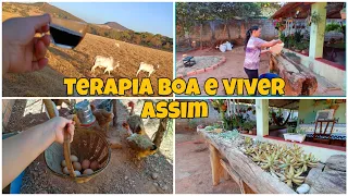 VLOG BEM ALEATÓRIO "REFORMADO O COCHO DE PLANTAS *sem gastar nada *
