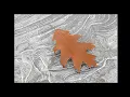 Download Lagu Photographing Abstract Ice Puddles MP3