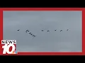 Why are there fewer geese over Rochester s skies this fall