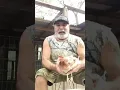 Treating an egg-bound hen