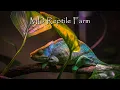 Maryland Reptile Farm Expos Shows Promo 2023