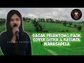 Download Lagu 🇮🇩SASAK PELENTONG PAOK cover Githa