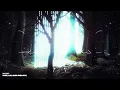 BICEP | MELI (ii) (REMIX) (VISUALIZER)