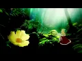 Download Lagu AMV』 Black Clover Opening 6 Full 「Kankaku Piero - Rakugaki Page」 Lyrics