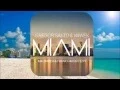 Download Lagu Gregor Salto \u0026 Wiwek – Miami (Malwarex \u0026 Frank Hardgo Edit)