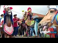 Download Lagu KUDA RENGGONG KEMBAR BIKIN HAPPY