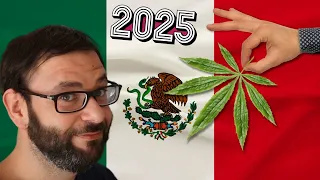 Cannabis in Mexico Everything You Need to Know About Marijuana in Mexico Weed in Mexico