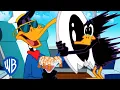 Download Lagu Looney Tunes | Silly Daffy | WB Kids