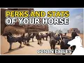 Perks and Stats of your Horse CONAN EXILES