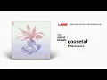 goosetaf - Efflorescence ☕