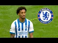 Download Lagu Here's Why Chelsea Signed Joao Pedro 🇧🇷🔵