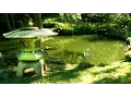 Zen Garden - Infinite Bliss