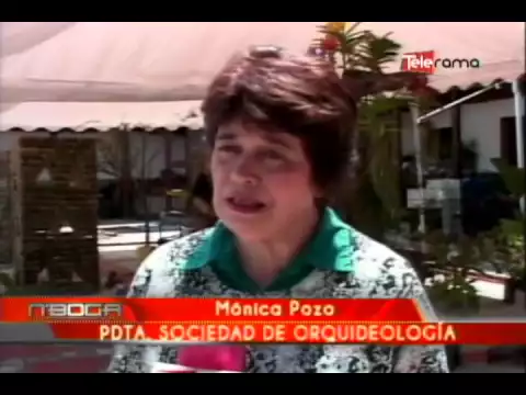 Exposición de orquídeas Amazing en Cuenca