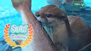 特大ヤマメを咥えて猛ダッシュ！？お誕生日に超ド級のプレゼントをしたら予想外の展開に…