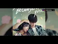 Download Lagu Because of you - Rookie cop ost