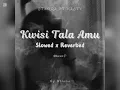 Download Lagu Stegga Ft Nasty - Kwisi Tala Amu (Slowed X Reverbed) [By WilzCo]