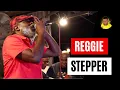 Download Lagu Reggie Stepper in Rub-A-Dub Style