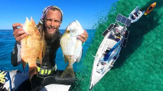 ABACOS Bahamas | Spearfishing Manjack Cay & Kayaking Green Turtle Cay [Ep 173]