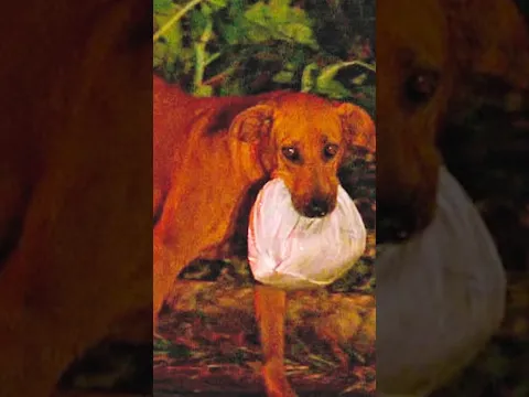 They Couldn't Believe What This Dog Did Next...