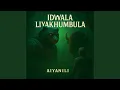 Download Lagu Idwala Liyakhumbula