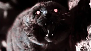 LAS 5 HISTORIAS MÁS PERTURBADORAS de STEPHEN KING