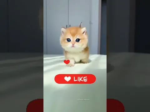 #edit
