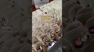 توزيعات الزواج 