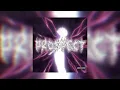 ditro - PROSPECT