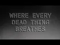 Jeremy Camp - Revival (Official Lyric Video)