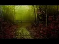 Rain and Native American Flutes - Relaxing Music
