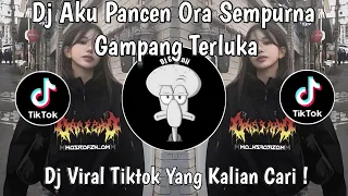 dj aku pancen ora sempurna gampang terluka dj ropang roda panguripan viral tiktok terbaru 