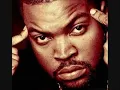 06   Ice Cube Feat Das Efx   Check Yo Self  Remix