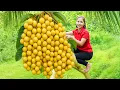 Download Lagu Harvesting 1000 + Kg Kumquat On The Roof To Sell At Market, Take Care Garden | Ella New Life