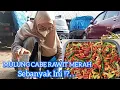Download Lagu Mulung Cabe Rawit Merah || Masak Hasil Mulung ⁉️