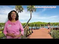 Neighborhood Spotlight - South River Condos Stuart FL