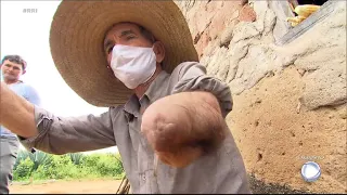 Cevadores podem sofrer acidentes graves nas plantações de sisal