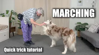 Marching - Fun Dog Trick Tutorial